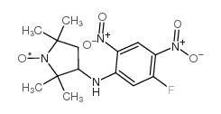 3-(5-氟-2,4-二硝基苯胺基)-2,2,5,5,-四甲基-1-吡咯烷氧基结构式