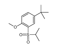 4-tert-butyl-1-methoxy-2-propan-2-ylsulfonylbenzene结构式