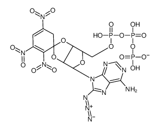 O(2',3')-(2,4,6-trinitrophenyl)-8-azidoadenosine triphosphate picture