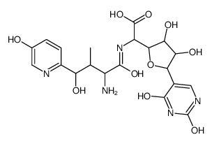 Nikkomycin pseudo-Z Structure