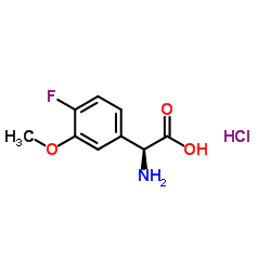 (S)-2-氨基-2-(4-氟-3-甲氧基苯基)乙酸盐酸盐结构式