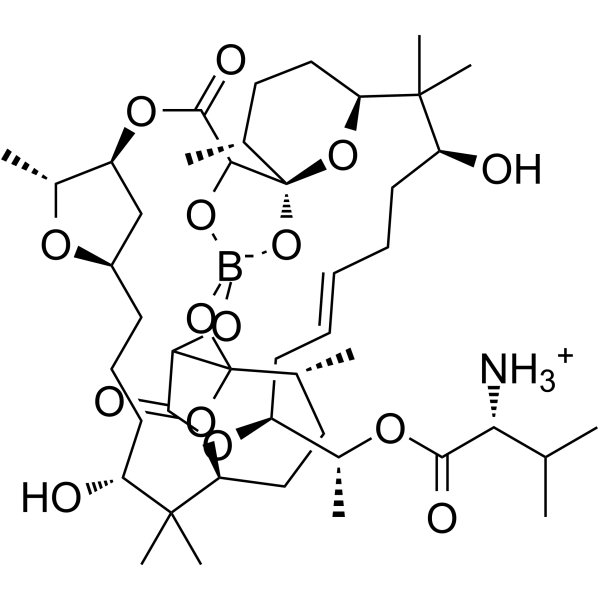 Boromycin structure