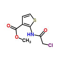 METHYL 2-[(2-CHLOROACETYL)AMINO]THIOPHENE-3-CARBOXYLATE Structure