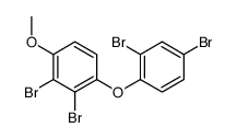 2,3-dibromo-1-(2,4-dibromophenoxy)-4-methoxybenzene结构式