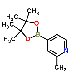 2-甲基吡啶-4-硼酸频哪酯结构式