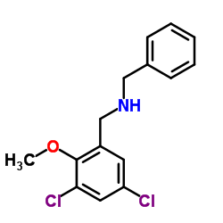 N-Benzyl-1-(3,5-dichloro-2-methoxyphenyl)methanamine Structure