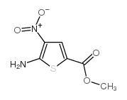 4-硝基-5-氨基噻吩-2-甲酸甲酯结构式