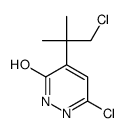 3-chloro-5-(1-chloro-2-methylpropan-2-yl)-1H-pyridazin-6-one Structure