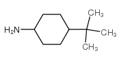 cis-4-tert-Butyl-cyclohexylamine Structure