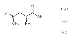 (S)-2-氨基-3-(二甲基氨基)丙酸双盐酸盐水合物结构式