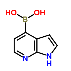 1H-pyrrolo[2,3-b]pyridin-4-ylboronic acid Structure
