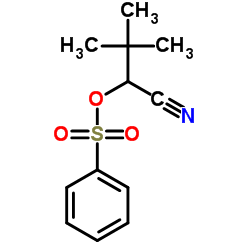 1-Cyano-2,2-dimethylpropyl benzenesulfonate结构式
