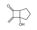 5-hydroxy-6-methylidenebicyclo[3.2.0]heptan-7-one Structure