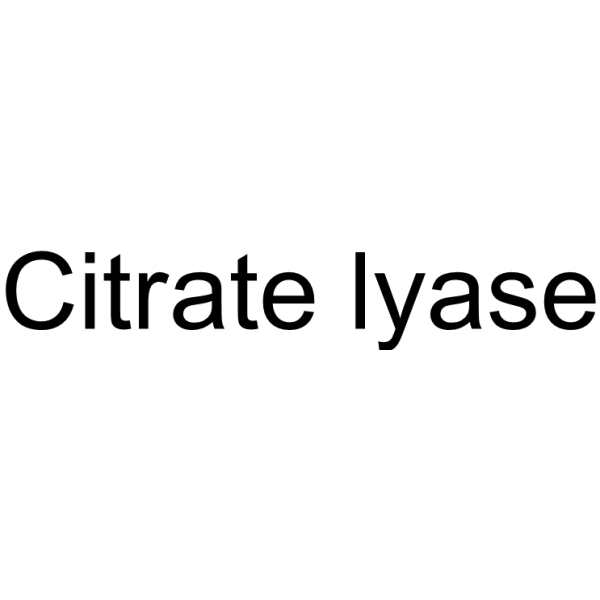 Citrate lyase Structure