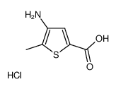 4-amino-5-methylthiophene-2-carboxylic acid,hydrochloride结构式