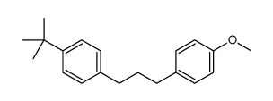 1-tert-butyl-4-[3-(4-methoxyphenyl)propyl]benzene Structure