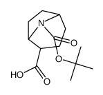 8-[(叔丁氧基)羰基] -8-氮杂双环[3.2.1]辛烷-2-羧酸结构式