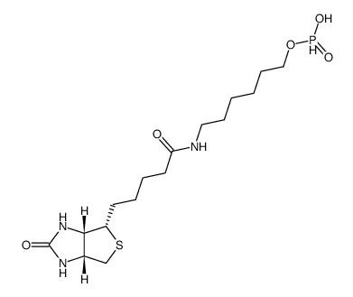 6-N-生物素基氨基己基氢膦酸酯结构式