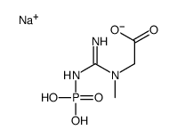 sodium,2-[methyl-[(E)-N'-phosphonocarbamimidoyl]amino]acetate Structure