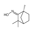 (1S,4R)-1,3,3-三甲基二环[2.2.1]庚烷-2-酮肟结构式