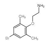 2-(4-溴-2,6-二甲基苯氧基)乙烷-1-胺结构式