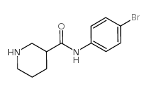 N-(4-溴苯基)哌啶-3-甲酰胺结构式