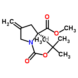 (S)-1-(叔丁氧基羰基)-2-甲基-4-亚甲基吡咯烷-2-羧酸图片