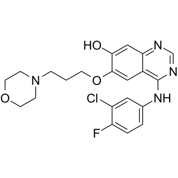 4-[(3-氯-4-氟苯基)氨基]-6-[3-(4-吗啉基)丙氧基]-7-羟基喹唑啉图片