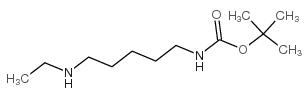 (5-(乙基氨基)戊基)氨基甲酸叔丁酯结构式