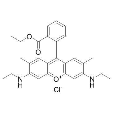 Rhodamine 6G Structure