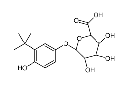 (2S,3S,4S,5R,6S)-6-(3-tert-butyl-4-hydroxyphenoxy)-3,4,5-trihydroxyoxane-2-carboxylic acid结构式
