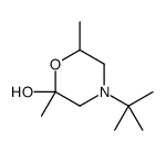 4-tert-butyl-2,6-dimethylmorpholin-2-ol Structure