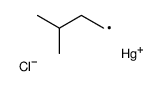 chloro(3-methylbutyl)mercury Structure