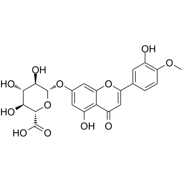 DiosMetin 7-O-β-D-Glucuronide structure
