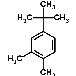 4-叔丁基邻二甲苯结构式