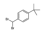 1-tert-butyl-4-(dibromomethyl)benzene Structure