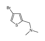 1-(4-溴噻吩-2-基)-N,N-二甲基甲胺结构式