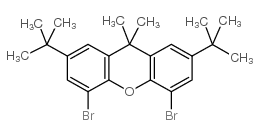 4,5-Dibromo-2,7-di-tert-butyl-9,9-dimethylxanthene structure