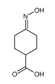 4-hydroxyimino-cyclohexanecarboxylic acid Structure