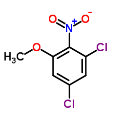 1,5-Dichloro-3-methoxy-2-nitrobenzene Structure