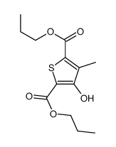 dipropyl 3-hydroxy-4-methylthiophene-2,5-dicarboxylate Structure