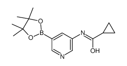 N-[5-(4,4,5,5-四甲基-1,3,2-二噁硼烷-2-基)-3-吡啶]-环丙烷羧酰胺结构式