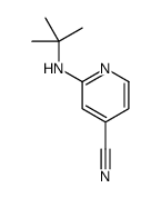 2-(tert-butylamino)isonicotinonitrile Structure