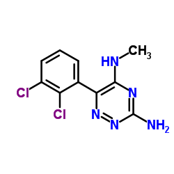 6-(2,3-Dichlorophenyl)-N5-methyl-1,2,4-triazine-3,5-diamine Structure