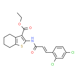 ethyl2-{[3-(2,4-dichlorophenyl)acryloyl]amino}-4,5,6,7-tetrahydro-1-benzothiophene-3-carboxylate picture