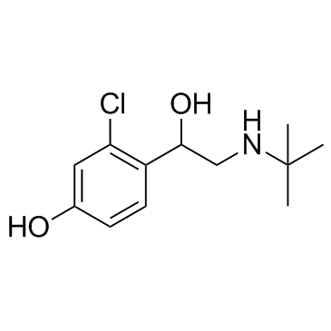2-氯-α-[[(1,1-二甲基乙基)氨基]甲基]-4-羟基苯甲醇结构式