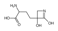 2-amino-4-(3-hydroxy-2-oxoazetidin-3-yl)butanoic acid结构式