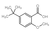 5-叔丁基-2-甲氧基苯甲酸结构式