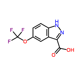 5-三氟甲氧基吲唑-3-羧酸结构式