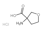 3-aminooxolane-3-carboxylic acid,hydrochloride Structure